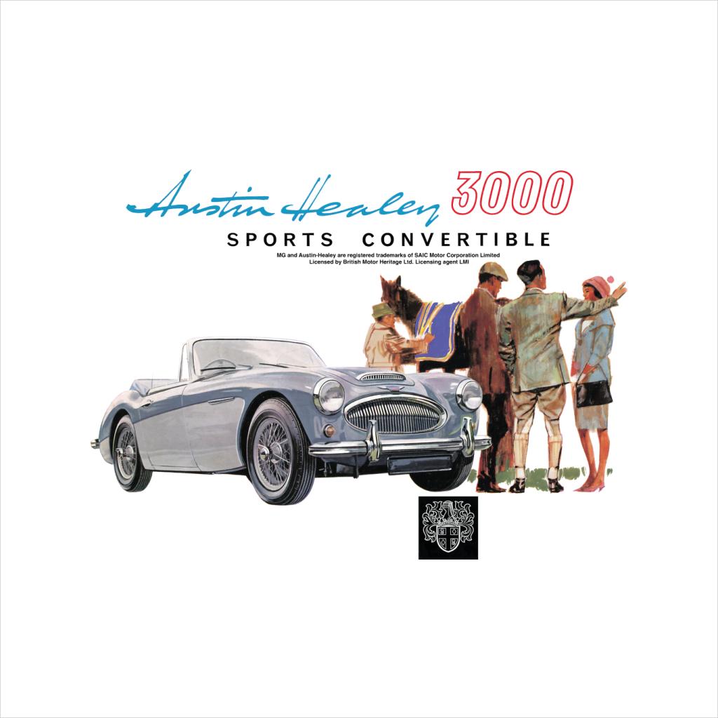 British Motor Heritage Austin-Healey 3000 Sports product image 2