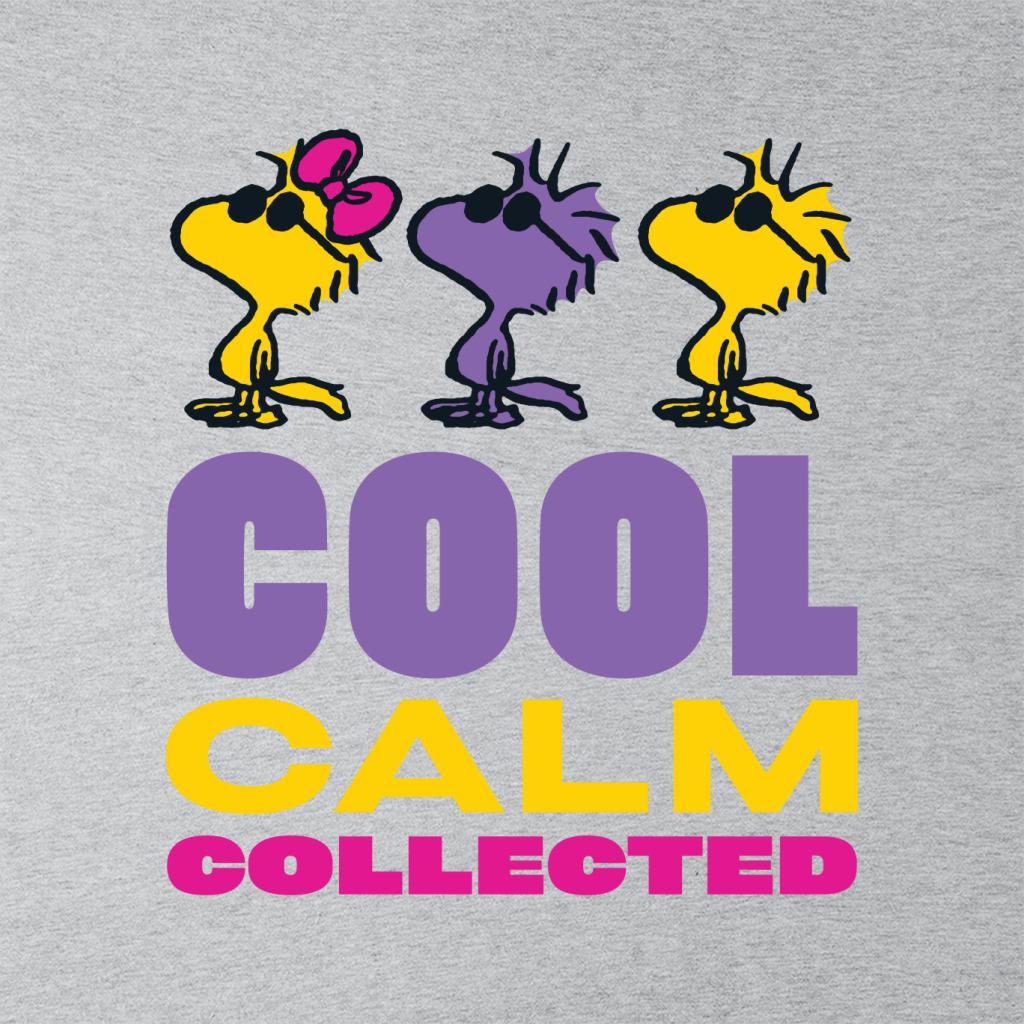 Peanuts Woodstock Cool Calm Collected Men's Hooded product image 2