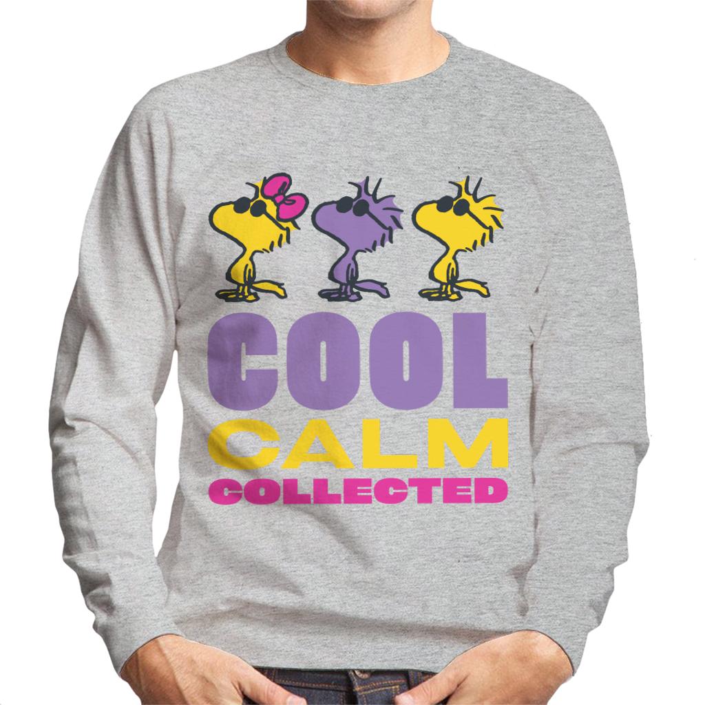 Peanuts Woodstock Cool Calm Collected Men's Sweatshirt product image 1