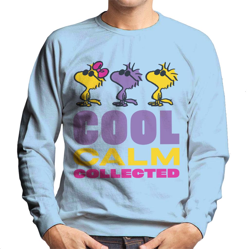Peanuts Woodstock Cool Calm Collected Men's Sweatshirt product image 6