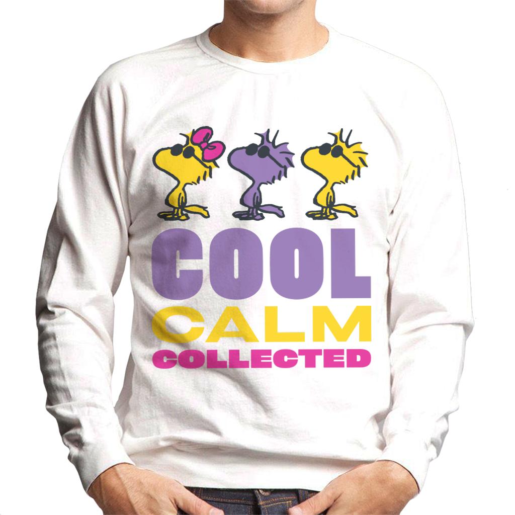 Peanuts Woodstock Cool Calm Collected Men's Sweatshirt product image 4