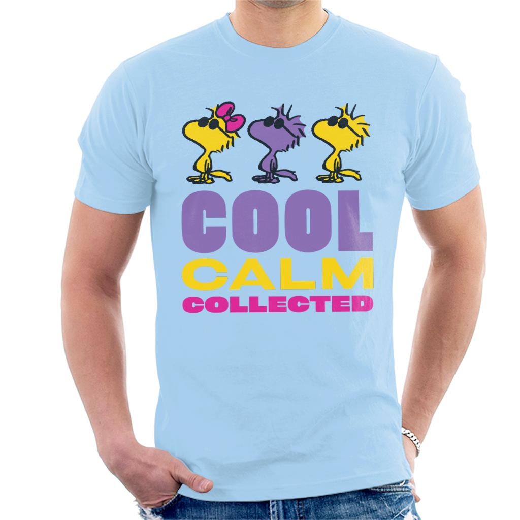 Peanuts Woodstock Cool Calm Collected Men's T-Shirt product image 6