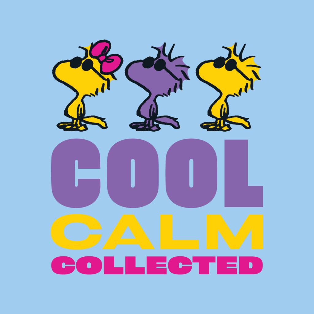 Peanuts Woodstock Cool Calm Collected Men's Sweatshirt product image 7