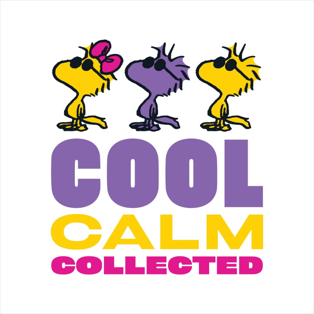 Peanuts Woodstock Cool Calm Collected Men's Sweatshirt product image 5