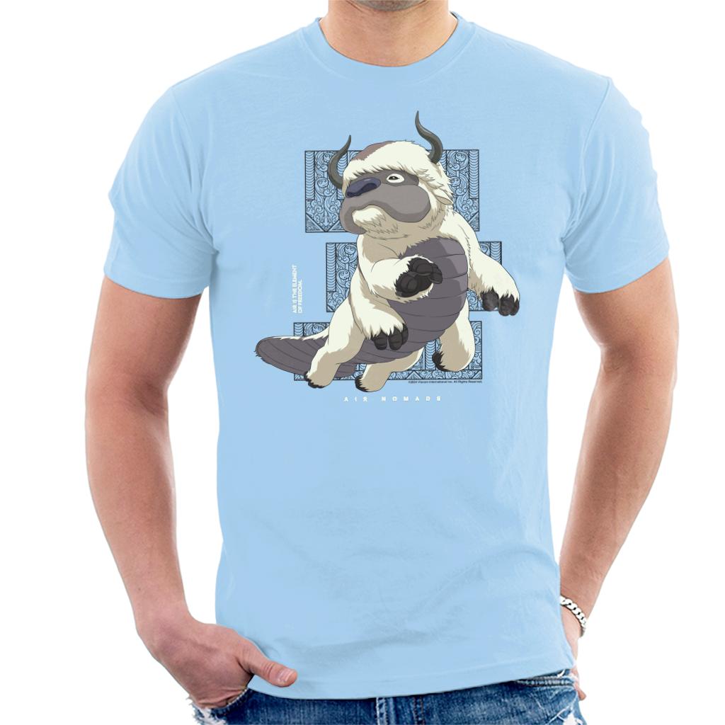 Avatar The Last Airbender Appa Flying Bison Air Nomads product image 1