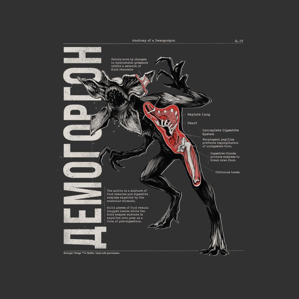 Stranger ThingsAnatomy Of A Demogorgon Men's T-Shirt product image 2